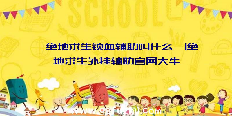 「绝地求生锁血辅助叫什么」|绝地求生外挂辅助官网大牛